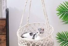 Hanging Cat Bed